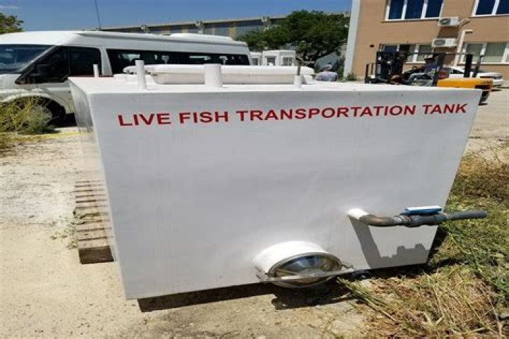 How long can you transport fish in a bag