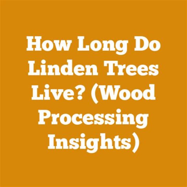 How long do linden trees live