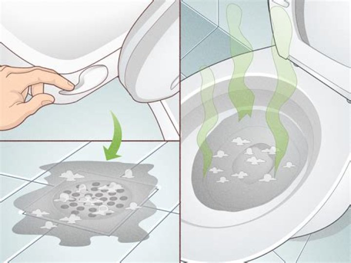 How long does it take for toilet paper to dissolve in clogged toilet?