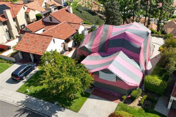 How long does tenting a house take