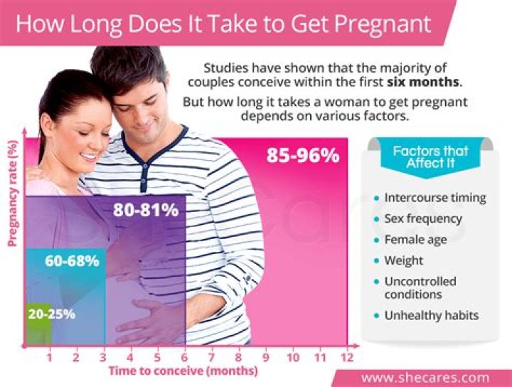How long it takes to get pregnant