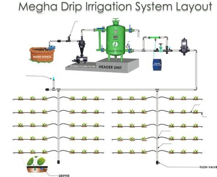 How long should I run my drip system in AZ?