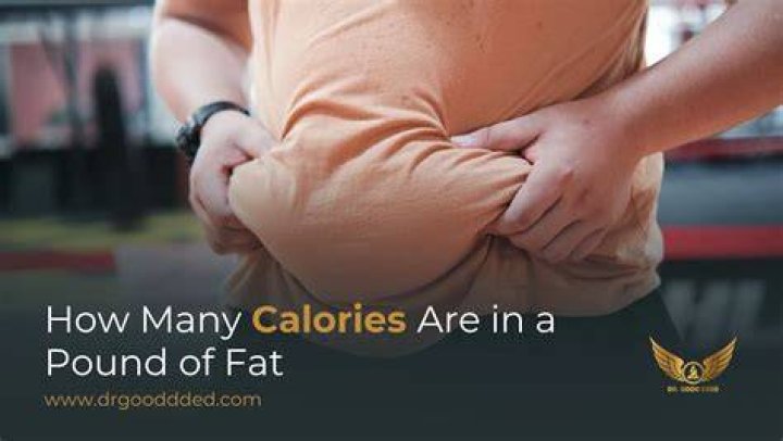 How Many Calories Is One Pound Of Body Fat