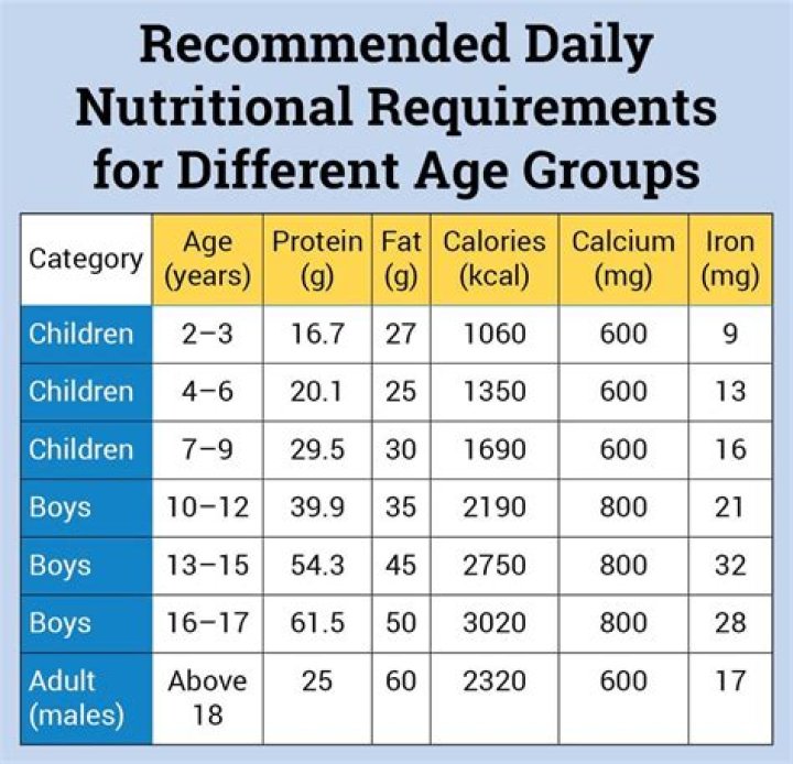 How many calories should a 55 year old man eat a day