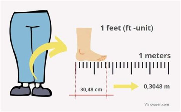 How Many Feet In A Floor