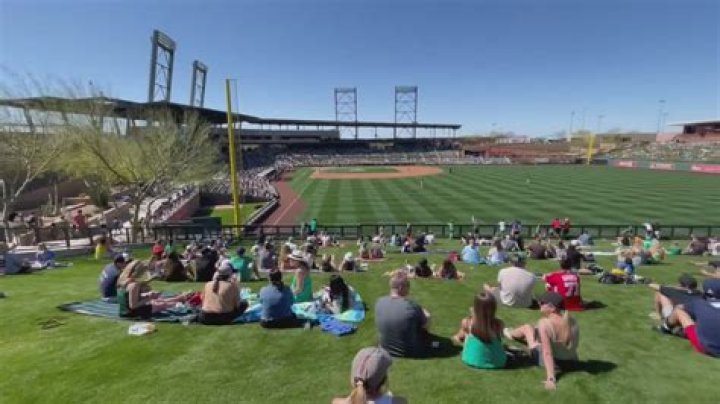 How many MLB teams have spring training in Arizona