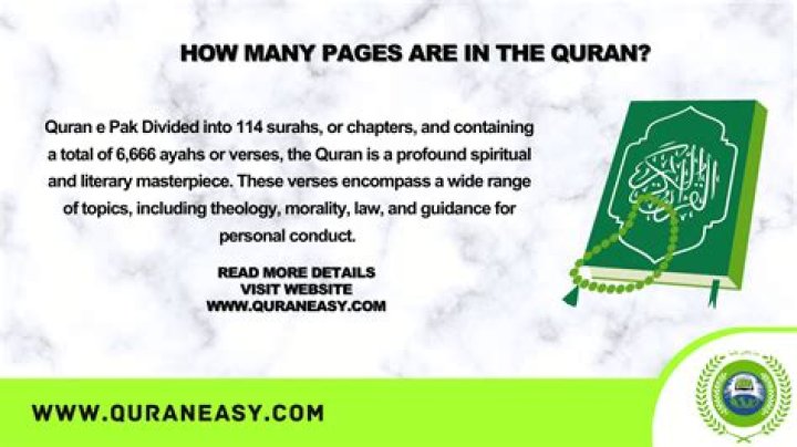 How many pages are in the book Puddin