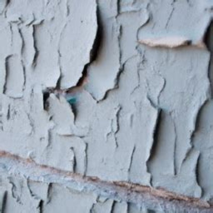 How many times can you repaint a wall