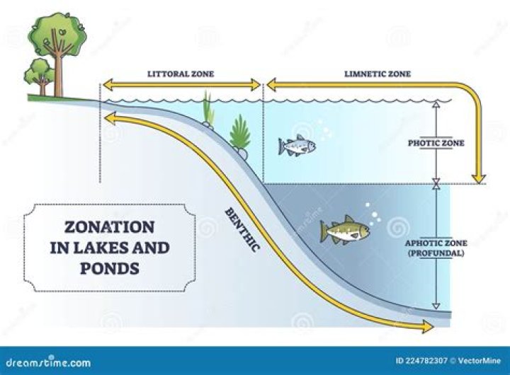 How many zones are found in ponds and lakes