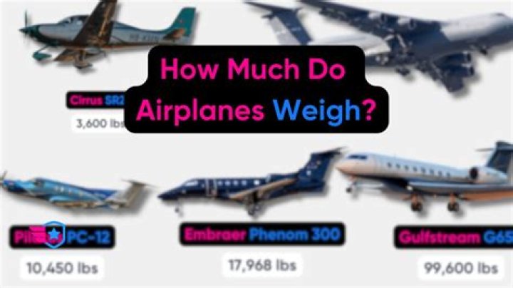 How Much Does A Fly Weigh