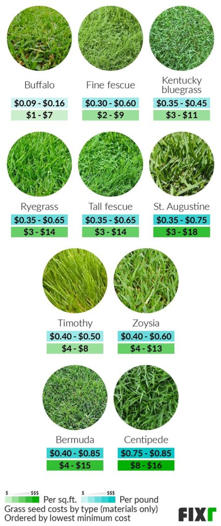 How much does it cost to grade and seed a lawn