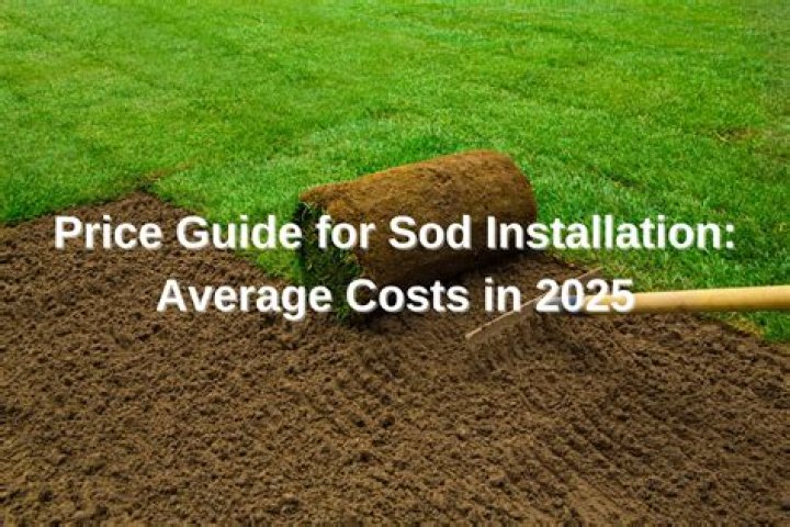 How much does it cost to resod a small yard