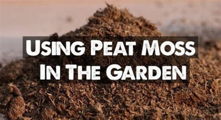 How much peat moss do I need for my garden