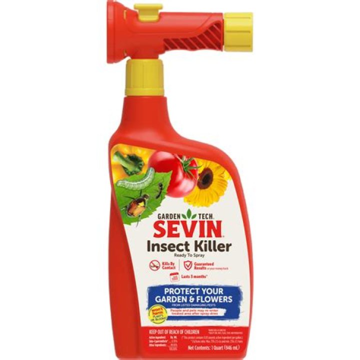 How often can I apply Sevin spray