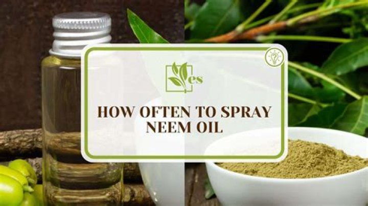 How often should I spray neem oil on my plants
