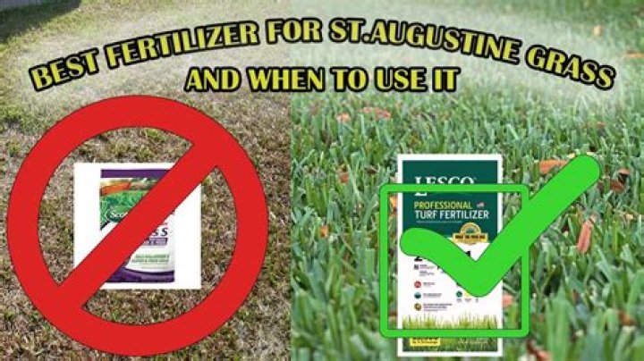 How soon does grass fertilize