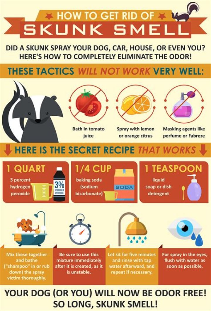 How to get rid of skunk smell