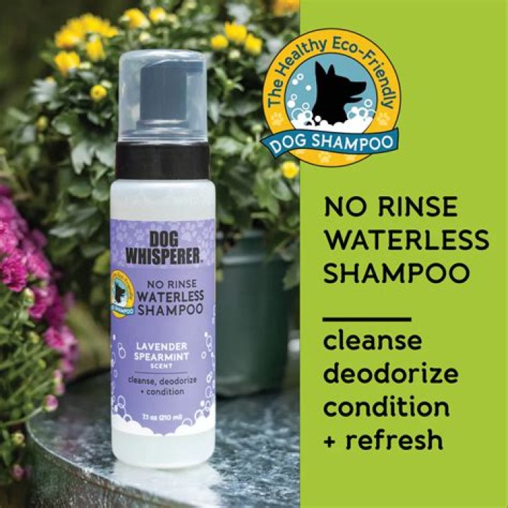 How To Make Tear Free Waterless Dog Shampoo