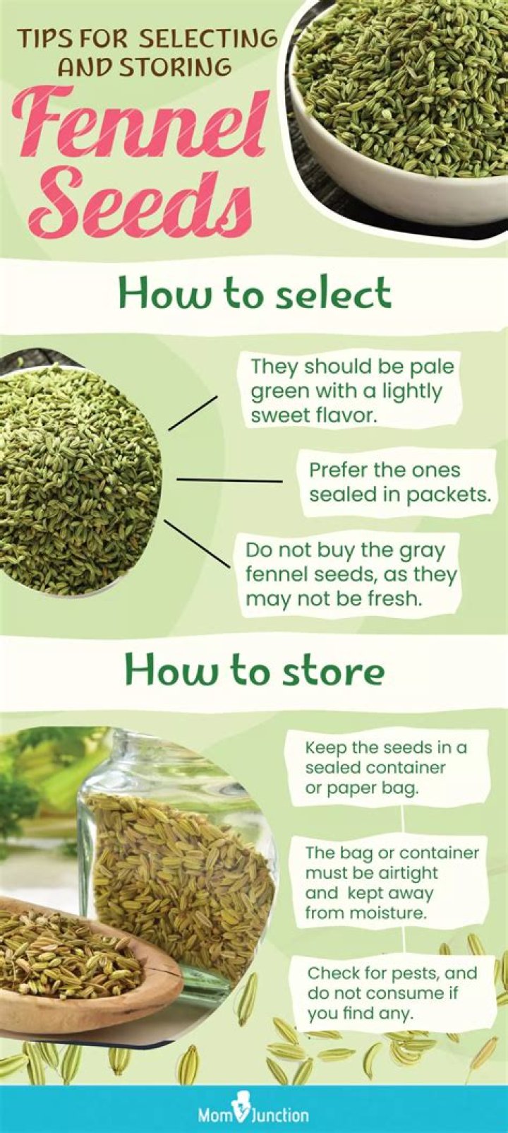 How To Store Fennel - How To Discuss