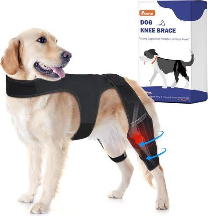 How To Wrap A Dogs Dislocated Hip