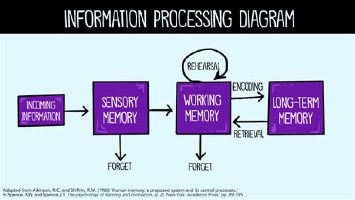 Information processing - How To Discuss