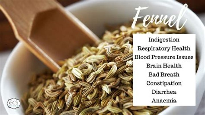 Is Anise fennel good for you