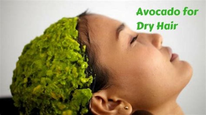 Is Avocado good for hair treatment