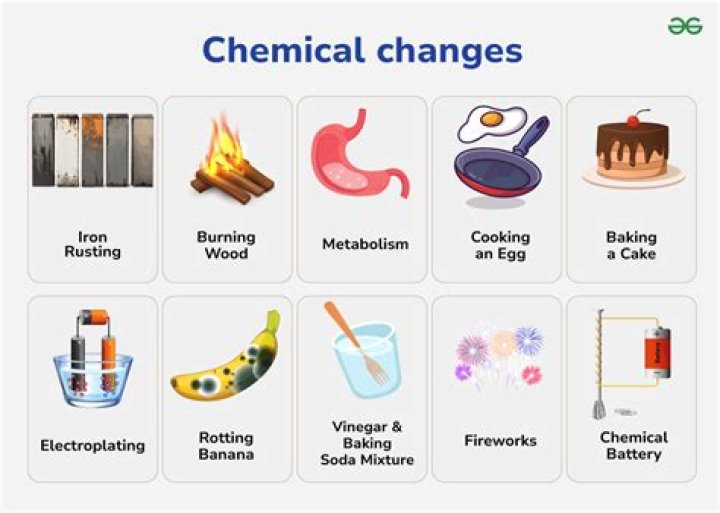 Is Cooking Meat A Chemical Change