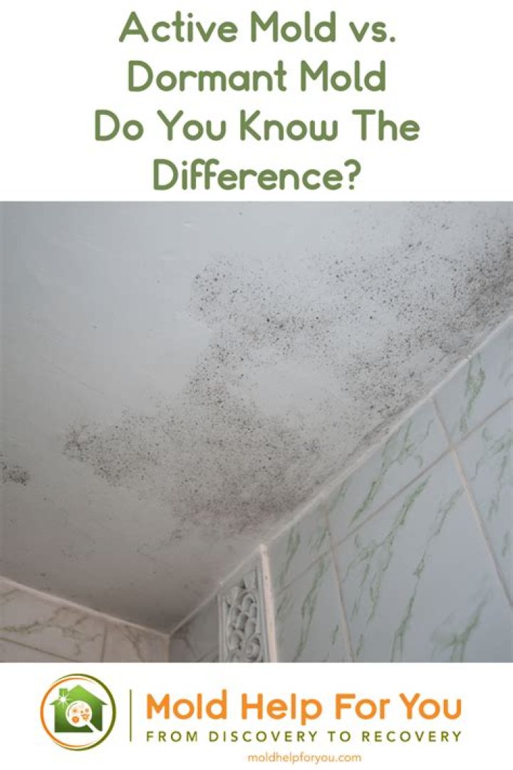 Is dormant mold dangerous