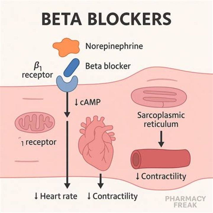 Is fenofibrate a beta blocker