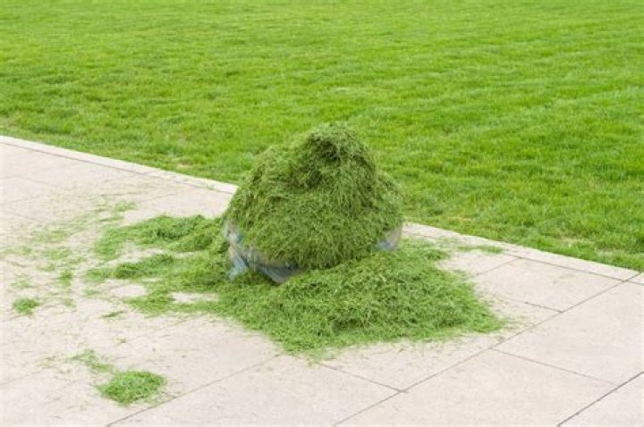 Is it better to bag grass clippings