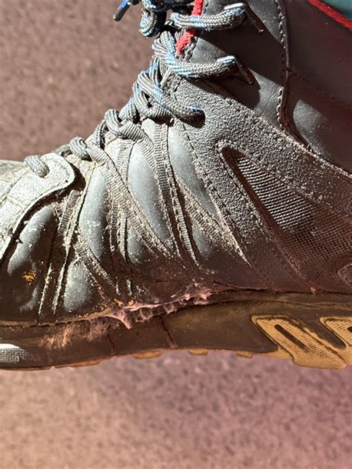 Is leather mold dangerous