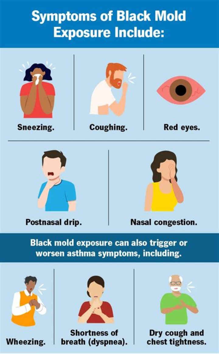 Is mold really toxic