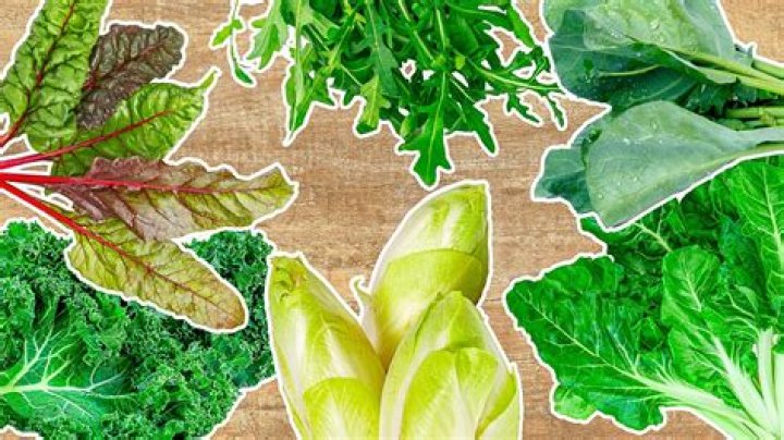 Is Panama a fruit or vegetable