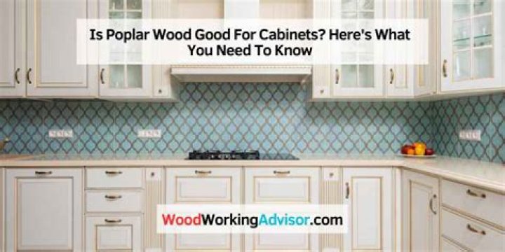 Is poplar wood good for cabinets