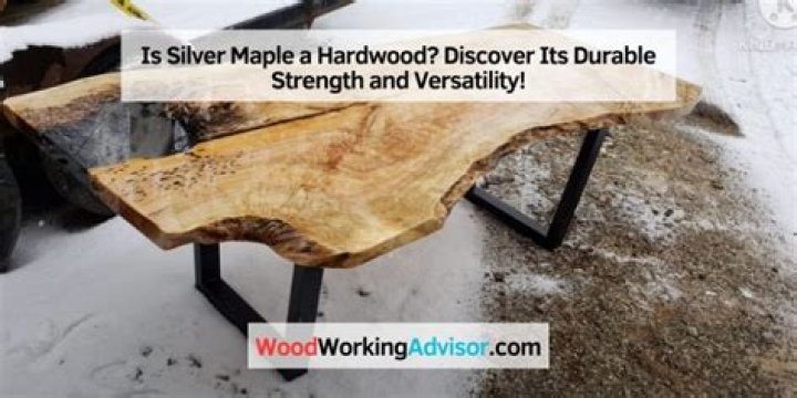 Is Silver Maple A Hardwood