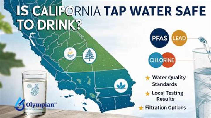 Is soft water safe to drink for dogs