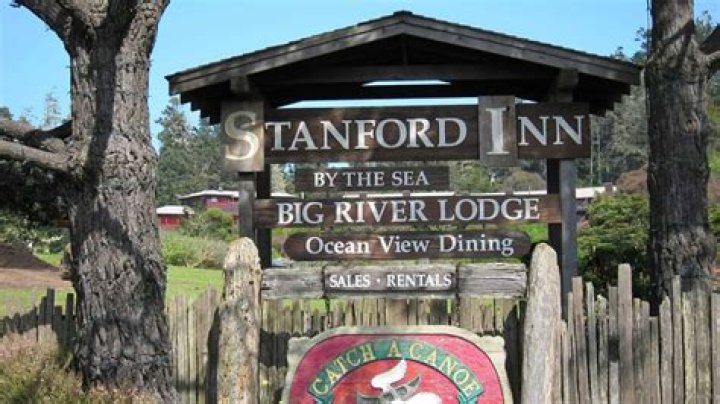 Is the Stanford dish dog friendly