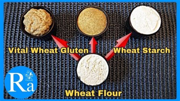 Is wheat gluten the same as wheat flour