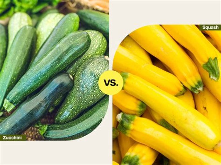 Is zucchini and squash good for you