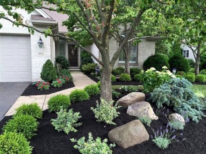 Low maintenance landscaping ideas front yard