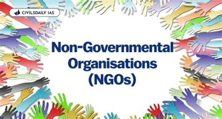 Non-governmental organization (NGO) - How To Discuss