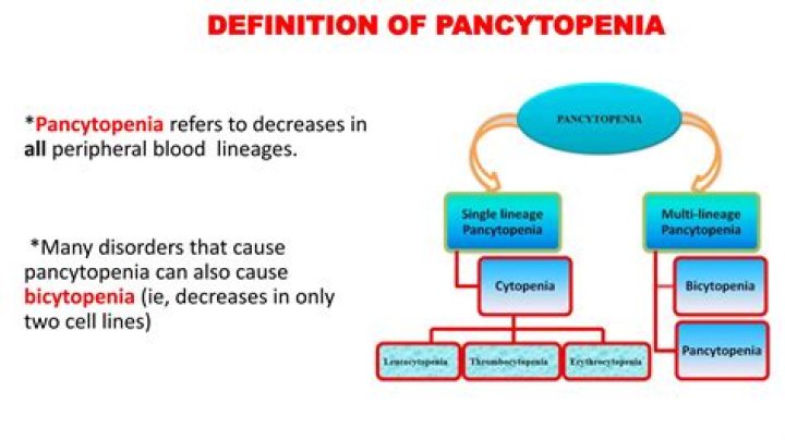 Pancytopenia definition - How To Discuss