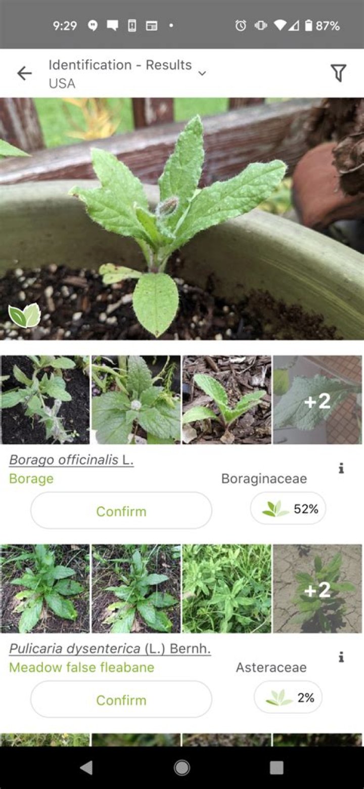 Plantnet app - How To Discuss