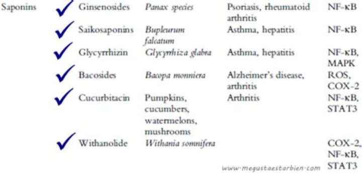 ¿Qué alimentos contienen saponinas