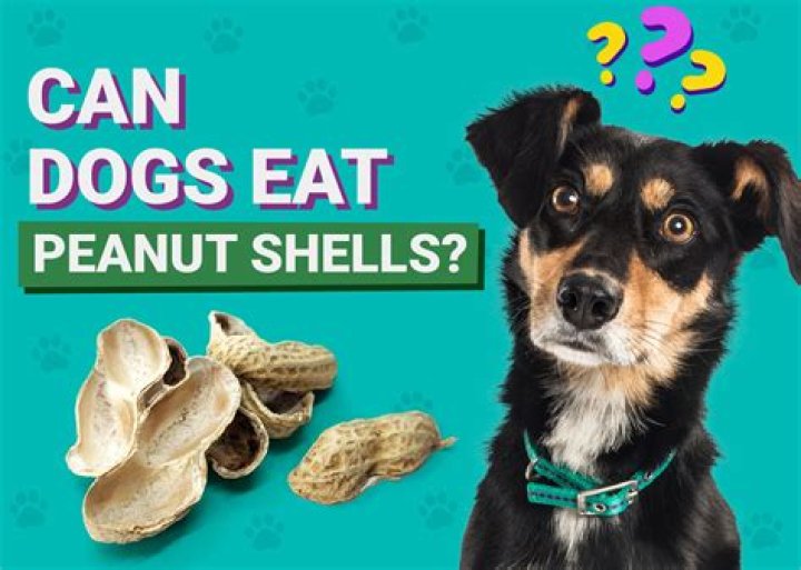Question: Can Dogs Eat Peanut Shells