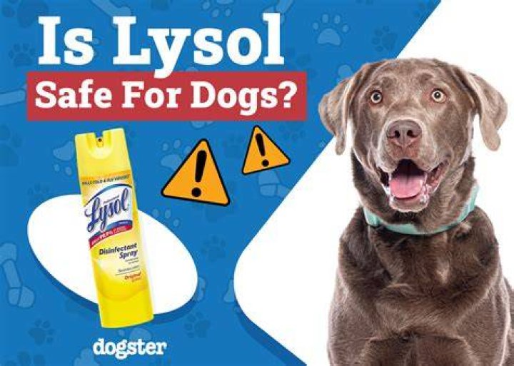 Question: Is Lysol Wipes Safe For Dogs