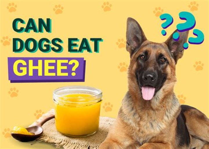 Question: Should Ghee Be Given To Dogs