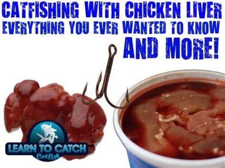 Question: Where To Buy Chicken Liver For Fishing