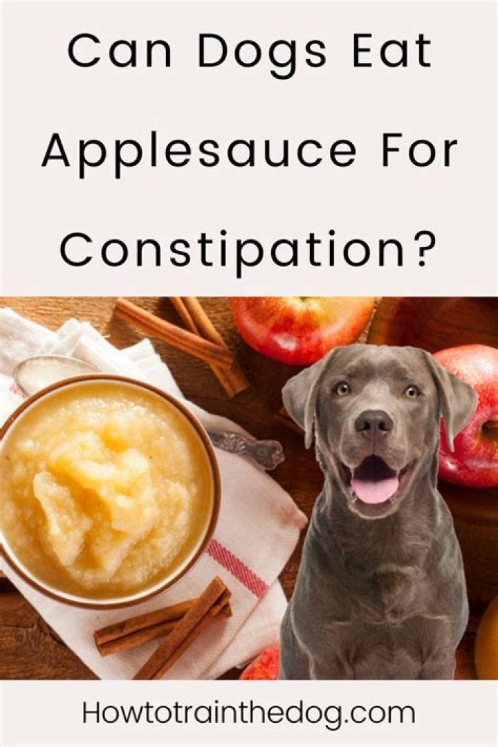 Question: Will Dogs Eat Applesauce